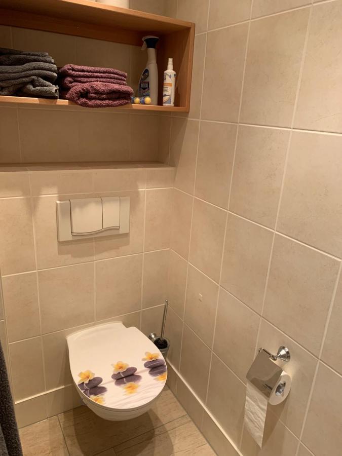 Kathrin'S Appartment Oelsnitz  Zewnętrze zdjęcie